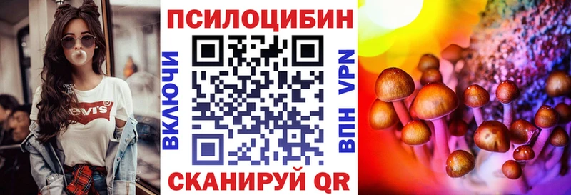 Псилоцибиновые грибы Psilocybine cubensis  Ртищево 