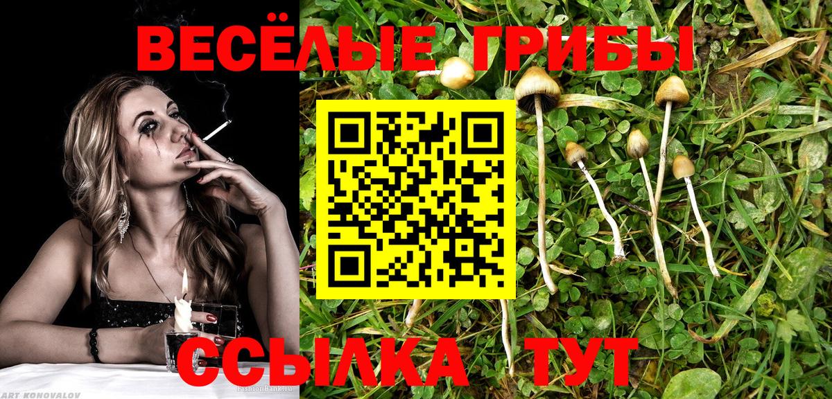 Ртищево  Галлюциногенные грибы MAGIC MUSHROOMS  Вход с VPN 